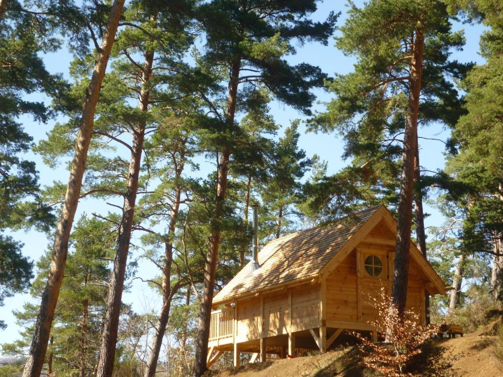Cabane Lodge Domaine Du Lac Chambon ミュロル 部屋 写真